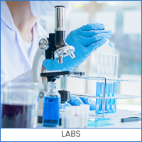 LABS