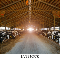 LIVESTOCK
