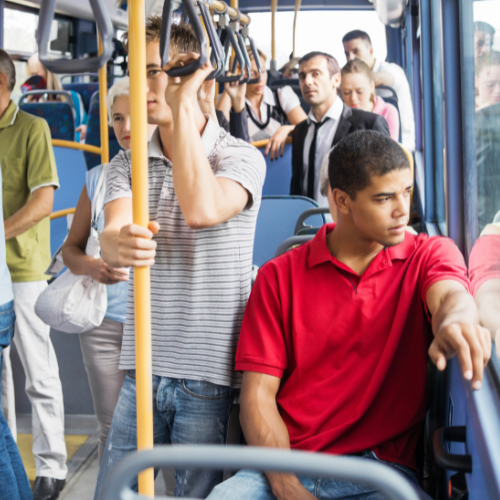 transportation - buses
